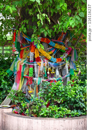 Buddhist wishing tree in Bangkok 116116237
