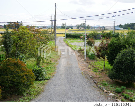 農道の眺め 116116343