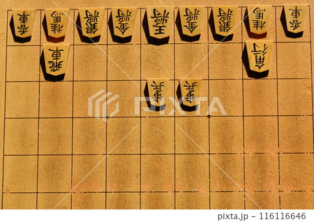将棋の大橋流駒の並べ方の歩の二枚目 116116646