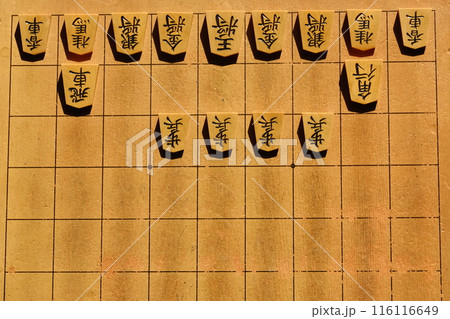 将棋の大橋流駒の並べ方の歩の四枚目 116116649