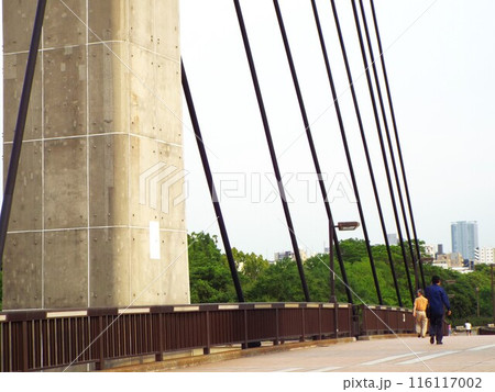 東京都立木場公園の木場大橋 東京都立木場公園の木場大橋 116117002
