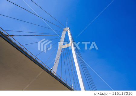 construction of modern cable-stayed bridge on background of blue sky in Anhor Park in Tashkent in Uzbekistan. New pedestrian suspension bridge 116117010