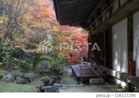 紅葉の時期のお寺 116117290