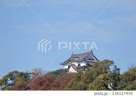 彦根城 森に囲まれたお城(滋賀県) 彦根城 森に囲まれたお城(滋賀県) 116117459
