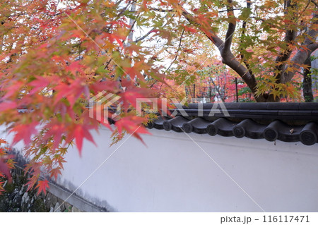 紅葉の時期のお寺 紅葉の時期のお寺 116117471