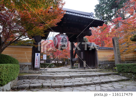 紅葉の時期のお寺 紅葉の時期のお寺 116117479