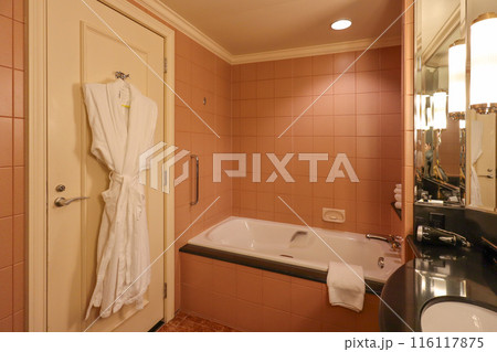 恵比寿にあるウェスティンホテル東京の綺麗な客室　洗面室 116117875