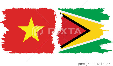 Guyana and Vietnam grunge flags connection vector Guyana and Vietnam grunge flags connection vector 116118087