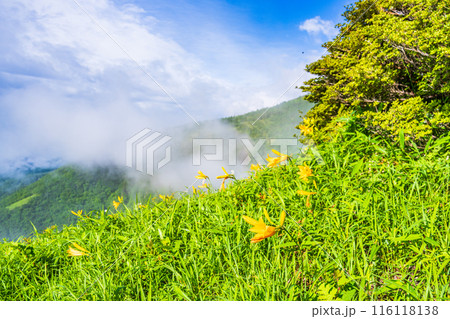 【栃木県】日光・霧降高原  小丸山展望台付近の景色 116118138