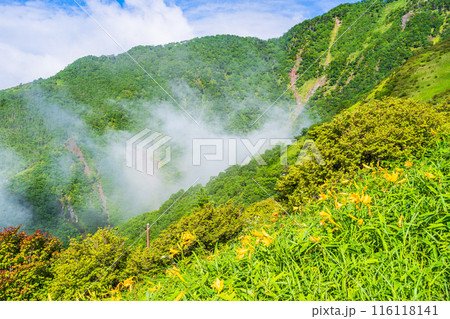 【栃木県】日光・霧降高原  小丸山展望台付近の景色 116118141