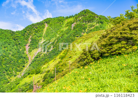 【栃木県】日光・霧降高原  小丸山展望台から赤薙山を望む 116118423