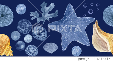 Starfish, seaweed, bubbles, pearls, shell blue monochromatic watercolor seamless border on blue background. Hand-drawn illustration for cards, restaurant menu, textile, tourism, tape and room decor Starfish, seaweed, bubbles, pearls, shell blue monochromatic watercolor seamless border on blue background. Hand-drawn illustration for cards, restaurant menu, textile, tourism, tape and room decor 116118517