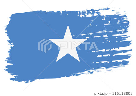 Somalia flag, wide brush stroke on transparent background vector Somalia flag, wide brush stroke on transparent background vector 116118803