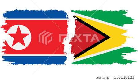 Guyana and North Korea grunge flags connection vector 116119123