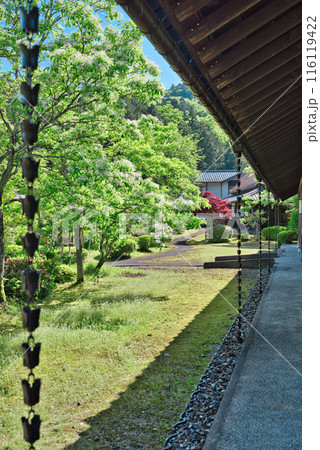 若州一滴文庫の庭園 116119422