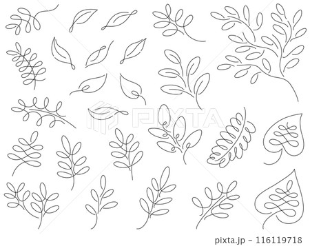 植物の線画イラスト 植物の線画イラスト 116119718