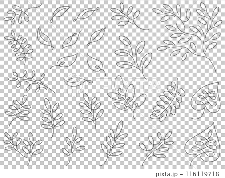 植物の線画イラスト 植物の線画イラスト 116119718