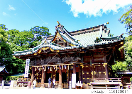 【静岡】初秋の三嶋大社　本殿と参拝客 116120054