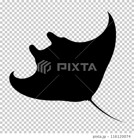 Manta ray illustration_Manta ray_Silhouette Manta ray illustration_Manta ray_Silhouette 116120074