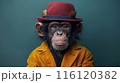 Chimpanzee Wearing a Red Hat and Yellow Jacket Against a Teal Background 116120382
