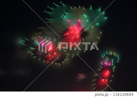 夜空を照らす花火 夜空を照らす花火 116120693