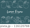 レモンとリーフの手描きチョークアート風フレームイラストセット 116120788