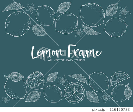 レモンとリーフの手描きチョークアート風フレームイラストセット レモンとリーフの手描きチョークアート風フレームイラストセット 116120788