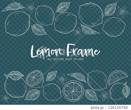 レモンとリーフの手描きチョークアート風フレームイラストセット レモンとリーフの手描きチョークアート風フレームイラストセット 116120788