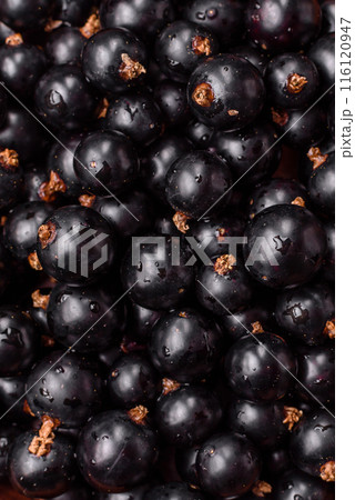 Ripe blackcurrant berries in droplets of water in a ceramic bowl Ripe blackcurrant berries in droplets of water in a ceramic bowl 116120947