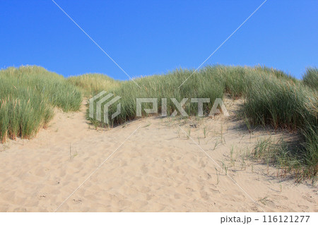 Dunes 116121277