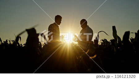 Silhouettes of two farmers talking in a field against a picturesque sunset, uses a tablet. 116121320