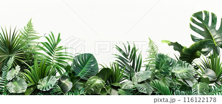 Tropical Green Leaves on White Background , with copy space 116122178