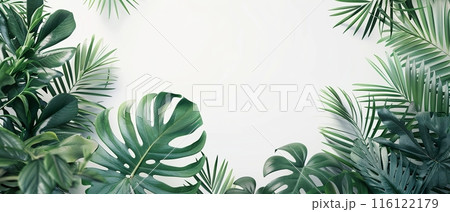 Tropical Green Leaves on White Background , with copy space Tropical Green Leaves on White Background , with copy space 116122179