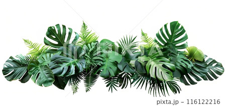 Assorted Tropical Green Leaves on White Surface Assorted Tropical Green Leaves on White Surface 116122216