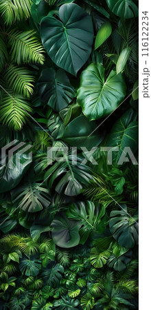 Lush Tropical Foliage with Various Green Leaves Lush Tropical Foliage with Various Green Leaves 116122234