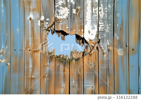 Broken Wooden Fence with Large Hole Broken Wooden Fence with Large Hole 116122288