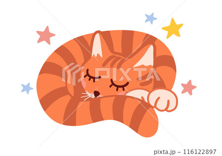 Sleeping red tabby Cat curled up in a ball Sleeping red tabby Cat curled up in a ball 116122897