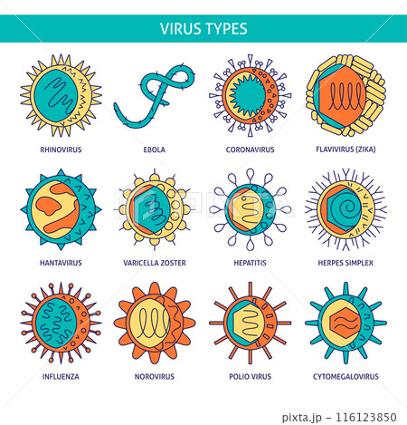 Human viruses icon set in colored line style 116123850