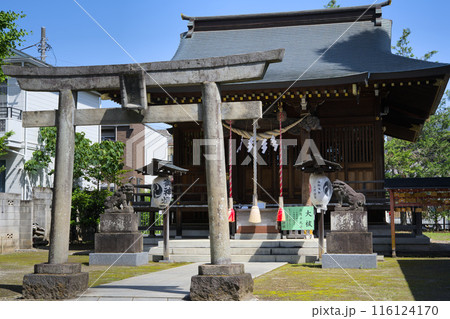 練馬白山神社 拝殿 東京都練馬区練馬 練馬白山神社 拝殿 東京都練馬区練馬 116124170