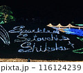 イルミネーションで輝く文字 116124239