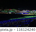 カラフルなイルミネーション 116124240