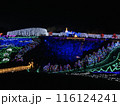 カラフルなイルミネーション 116124241