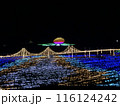 イルミネーションの瀬戸大橋 116124242