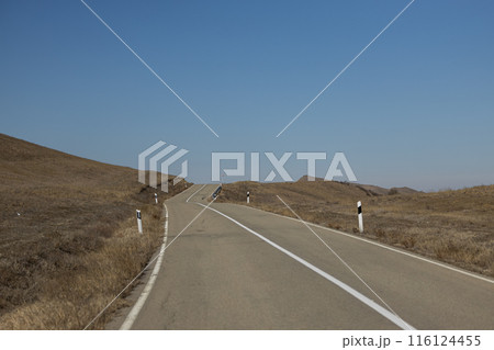 Lone Figure Contemplating by the Roadside Lone Figure Contemplating by the Roadside 116124455