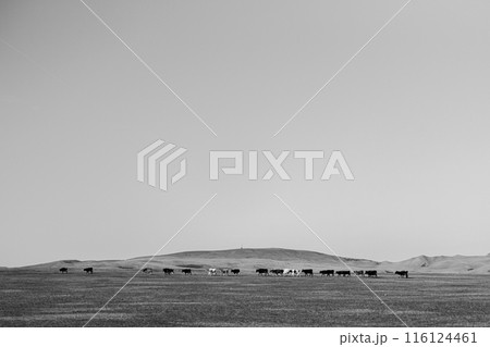 Pastoral Serenade 116124461