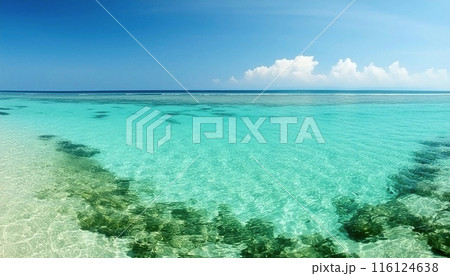 エメラルドグリーンの南国の海の風景 116124638