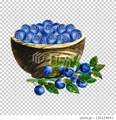 Blueberries in a wooden bowl. Ripe wild berries. A hand-drawn watercolor illustration. Isolate. For packages, labels and flyers. For banners, stickers and postcards. 116124641