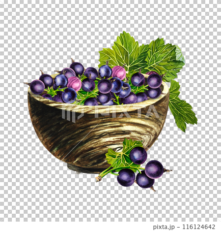 Black currant in a wooden bowl and a sprig of berries. Still life in a rustic style. Handmade watercolor illustrations. Isolates. For packages, labels and flyers. For banners, stickers. 116124642