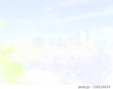 東京の街並み。イラスト風の写真。 116124674