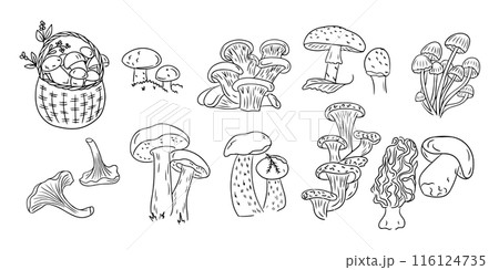 Autumn mushrooms contour doodle set Autumn mushrooms contour doodle set 116124735
